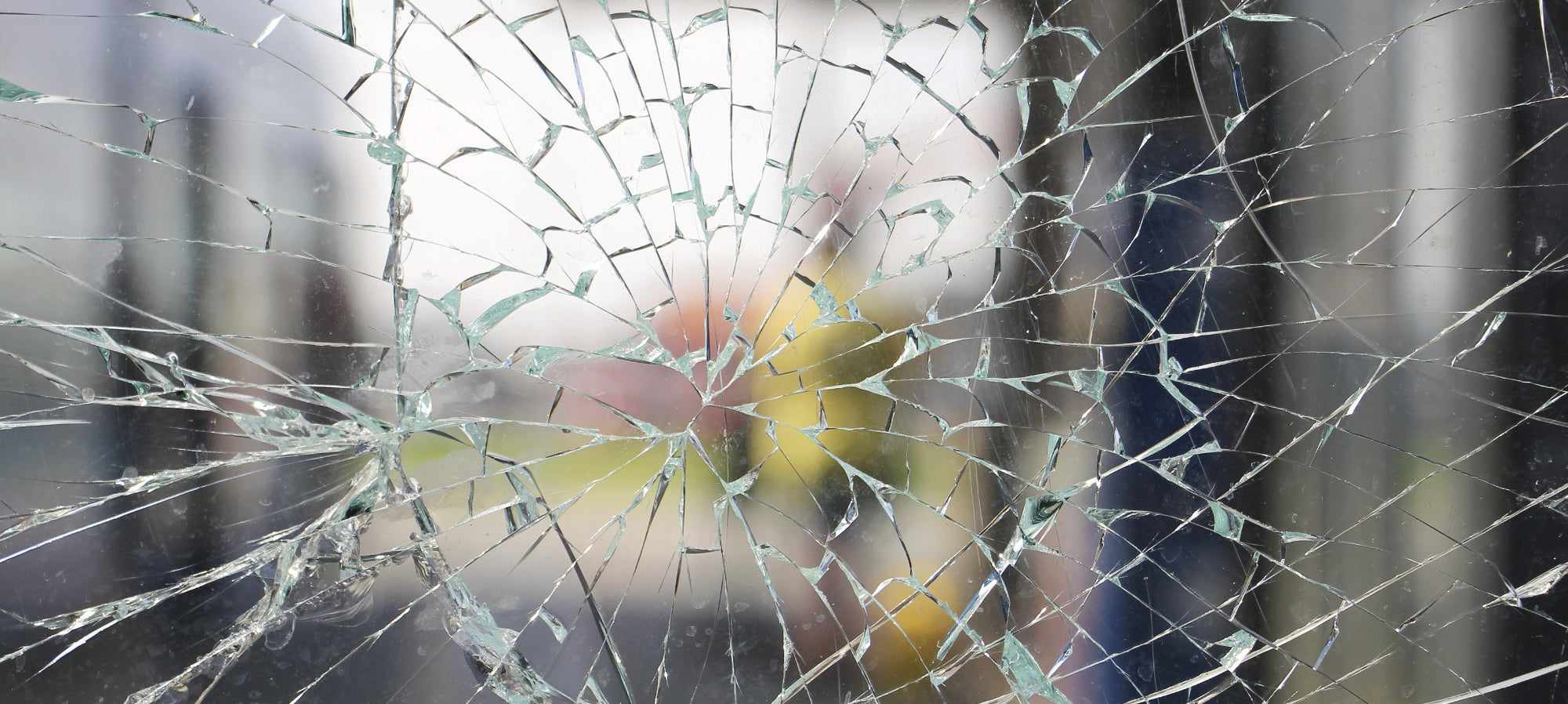 3M Home and Office Security and Impact Protection Window Film Collection
