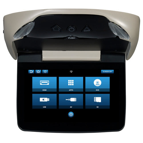 Automotive DVD Players