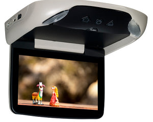 Overhead Rear Seat Entertainment Monitors and DVD Players