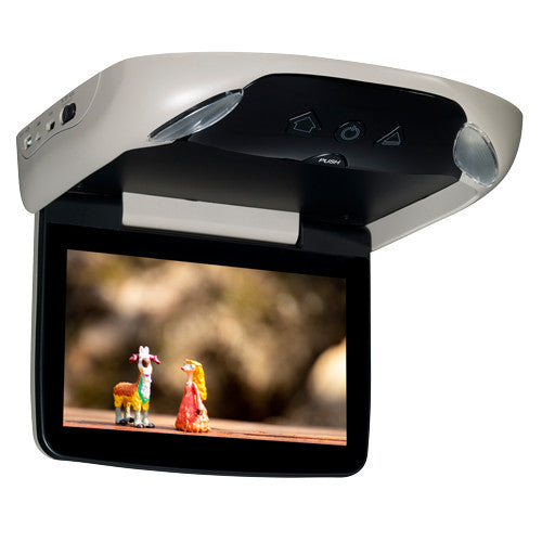 Overhead Rear Seat Entertainment Monitors and DVD Players