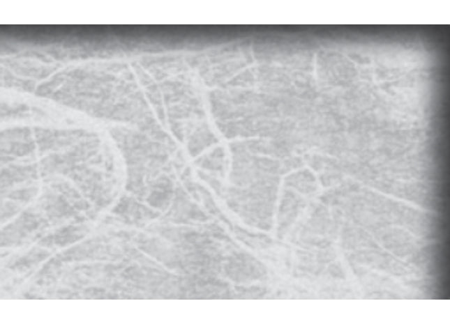 3M Altair SH2FGAT Sample